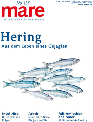 Buchcover mare - Die Zeitschrift der Meere / No. 135 / Hering  | EAN 9783866484245 | ISBN 3-86648-424-0 | ISBN 978-3-86648-424-5