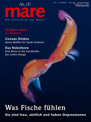 Buchcover mare - Die Zeitschrift der Meere / No. 151 / Was Fische fühlen  | EAN 9783866484405 | ISBN 3-86648-440-2 | ISBN 978-3-86648-440-5