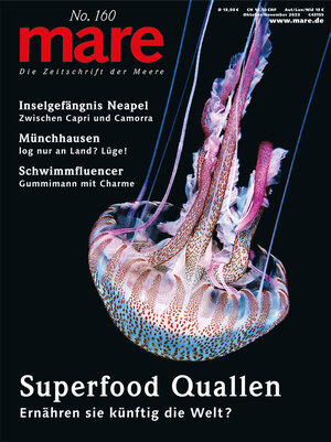 Buchcover mare - Die Zeitschrift der Meere / No. 160 / Superfood Quallen  | EAN 9783866484498 | ISBN 3-86648-449-6 | ISBN 978-3-86648-449-8