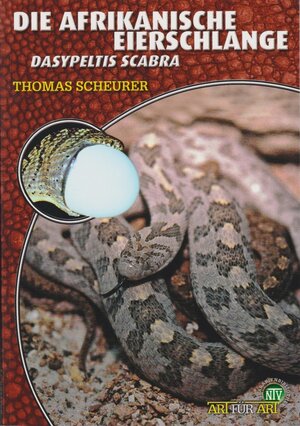 Buchcover Die Afrikanische Eierschlange | Thomas Scheurer | EAN 9783866590304 | ISBN 3-86659-030-X | ISBN 978-3-86659-030-4