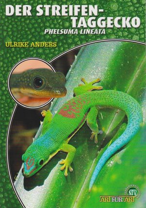 Buchcover Der Streifentaggecko | Ulrike Anders | EAN 9783866590632 | ISBN 3-86659-063-6 | ISBN 978-3-86659-063-2