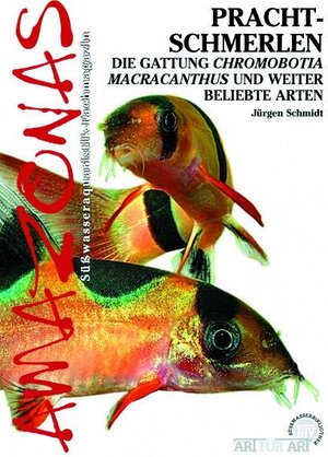Buchcover Prachtschmerlen | Jürgen Schmidt | EAN 9783866591066 | ISBN 3-86659-106-3 | ISBN 978-3-86659-106-6
