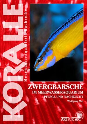 Buchcover Zwergbarsche im Meerwasseraquarium | Wolfgang Mai | EAN 9783866591103 | ISBN 3-86659-110-1 | ISBN 978-3-86659-110-3