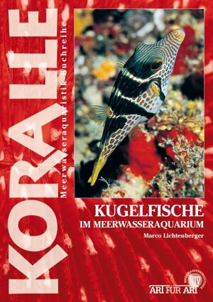 Buchcover Kugelfische im Meerwasseraquarium | Marco Lichtenberger | EAN 9783866591509 | ISBN 3-86659-150-0 | ISBN 978-3-86659-150-9