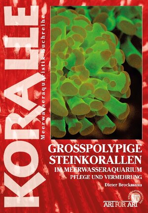 Buchcover Grosspolypige Steinkorallen im Meerwasseraquarium | Dieter Brockmann | EAN 9783866591677 | ISBN 3-86659-167-5 | ISBN 978-3-86659-167-7