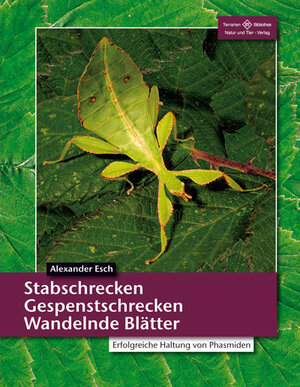 Buchcover Stabschrecken, Gespenstschrecken, Wandelnde Blätter | Alexander Esch | EAN 9783866592216 | ISBN 3-86659-221-3 | ISBN 978-3-86659-221-6