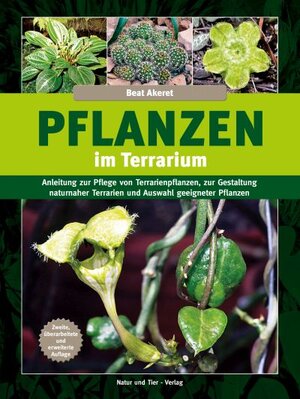 Buchcover Pflanzen im Terrarium | Beat Akeret | EAN 9783866592230 | ISBN 3-86659-223-X | ISBN 978-3-86659-223-0