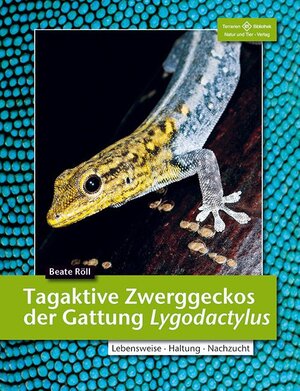 Buchcover Tagaktive Zwerggeckos der Gattung Lygodactylus | Beate Röll | EAN 9783866592278 | ISBN 3-86659-227-2 | ISBN 978-3-86659-227-8