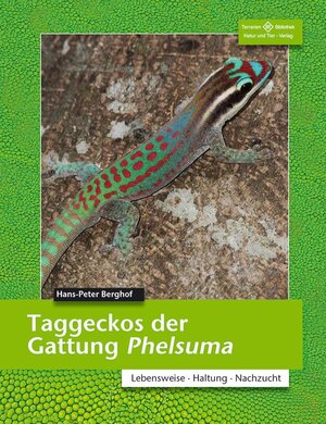 Buchcover Taggeckos der Gattung Phelsuma | Hans-Peter Berghof | EAN 9783866592407 | ISBN 3-86659-240-X | ISBN 978-3-86659-240-7