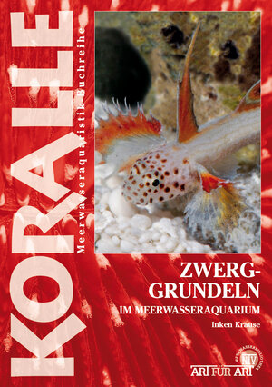 Buchcover Zwerggrundeln im Meerwasseraquarium | Inken Krause | EAN 9783866593176 | ISBN 3-86659-317-1 | ISBN 978-3-86659-317-6