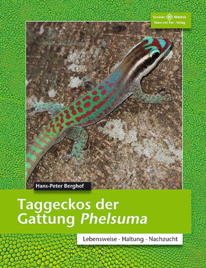 Buchcover Taggeckos der Gattung Phelsuma | Hans-Peter Berghof | EAN 9783866593367 | ISBN 3-86659-336-8 | ISBN 978-3-86659-336-7