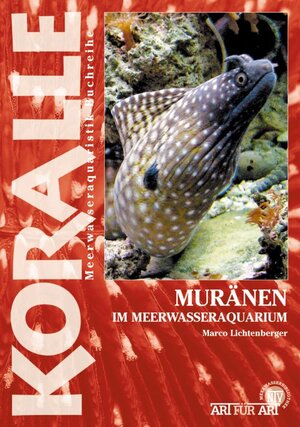 Buchcover Muränen im Meerwasseraquarium | Marko Lichtenberger | EAN 9783866593565 | ISBN 3-86659-356-2 | ISBN 978-3-86659-356-5