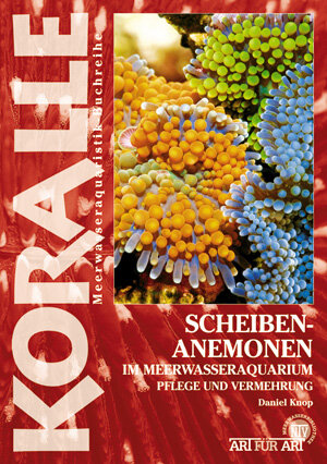 Buchcover Scheibenanemonen im Meerwasseraquarium | Daniel Knop | EAN 9783866593572 | ISBN 3-86659-357-0 | ISBN 978-3-86659-357-2