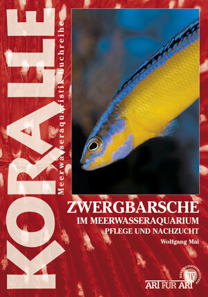 Buchcover Zwergbarsche im Meerwasseraquarium | Wolfgang Mai | EAN 9783866593633 | ISBN 3-86659-363-5 | ISBN 978-3-86659-363-3