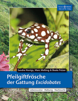 Buchcover Pfeilgiftfrösche der Gattung Excidobates | Sandra Honigs | EAN 9783866594005 | ISBN 3-86659-400-3 | ISBN 978-3-86659-400-5