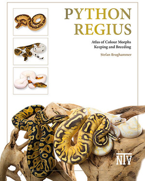 Buchcover Python regius | Stefan Broghammer | EAN 9783866594050 | ISBN 3-86659-405-4 | ISBN 978-3-86659-405-0
