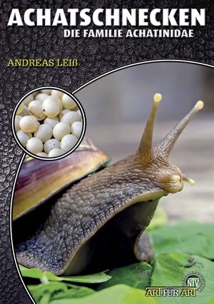 Buchcover Achatschnecken | Andreas Leiß | EAN 9783866594753 | ISBN 3-86659-475-5 | ISBN 978-3-86659-475-3