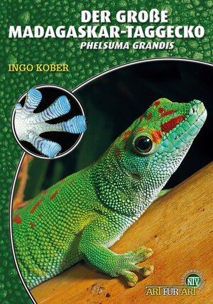 Buchcover Der Große Madagaskar-Taggecko | Ingo Kober | EAN 9783866594913 | ISBN 3-86659-491-7 | ISBN 978-3-86659-491-3