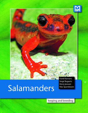 Buchcover Salamanders | Frank Pasmans | EAN 9783866594975 | ISBN 3-86659-497-6 | ISBN 978-3-86659-497-5