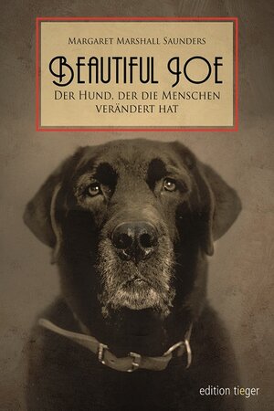 Buchcover Beautiful Joe | Marshall Saunders | EAN 9783866711136 | ISBN 3-86671-113-1 | ISBN 978-3-86671-113-6