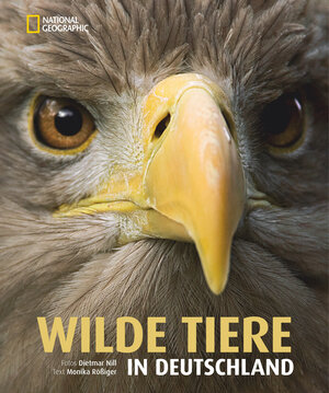 Buchcover Wilde Tiere in Deutschland | Monika Rößiger | EAN 9783866904378 | ISBN 3-86690-437-1 | ISBN 978-3-86690-437-8