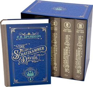 Buchcover Die Schatzkammer Davids | Charles Haddon Spurgeon | EAN 9783866993723 | ISBN 3-86699-372-2 | ISBN 978-3-86699-372-3