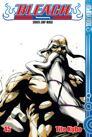 Buchcover Bleach 45 | Tite Kubo | EAN 9783867199735 | ISBN 3-86719-973-6 | ISBN 978-3-86719-973-5