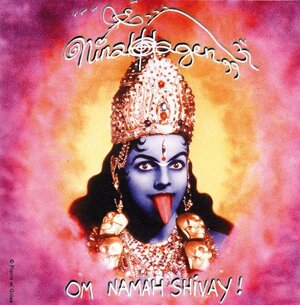 Buchcover Om Namah Shivay | Nina Hagen | EAN 9783867280990 | ISBN 3-86728-099-1 | ISBN 978-3-86728-099-0