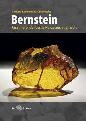 Buchcover Bernstein | Barbara Kosmowska-Ceranowicz | EAN 9783867292443 | ISBN 3-86729-244-2 | ISBN 978-3-86729-244-3