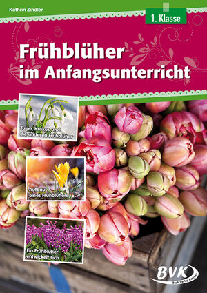 Buchcover Frühblüher im Anfangsunterricht | Kathrin Zindler | EAN 9783867405676 | ISBN 3-86740-567-0 | ISBN 978-3-86740-567-6