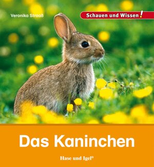 Buchcover Das Kaninchen | Veronika Straaß | EAN 9783867607629 | ISBN 3-86760-762-1 | ISBN 978-3-86760-762-9
