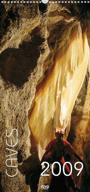 Buchcover Caves 2009  | EAN 9783867673112 | ISBN 3-86767-311-X | ISBN 978-3-86767-311-2