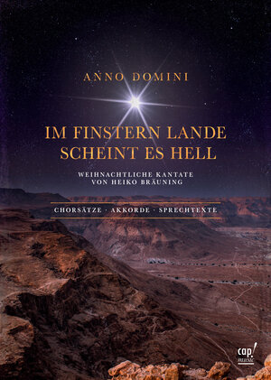 Buchcover Anno Domini - Im finstern Lande scheint es hell | Heiko Bräuning | EAN 9783867733212 | ISBN 3-86773-321-X | ISBN 978-3-86773-321-2