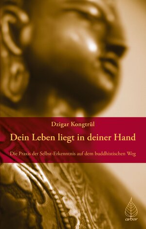 Buchcover Dein Leben liegt in deiner Hand | Dzigar Kongtrül | EAN 9783867812405 | ISBN 3-86781-240-3 | ISBN 978-3-86781-240-5