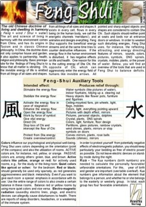 Buchcover Feng Shui - Medical Pocket Card  | EAN 9783868110197 | ISBN 3-86811-019-4 | ISBN 978-3-86811-019-7