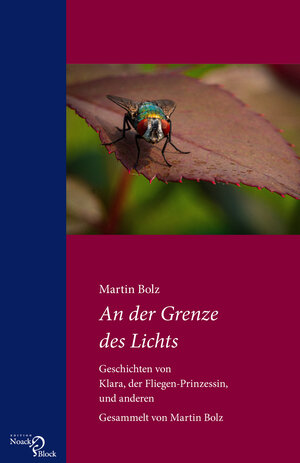 Buchcover An der Grenze des Lichts | Martin Bolz | EAN 9783868131390 | ISBN 3-86813-139-6 | ISBN 978-3-86813-139-0