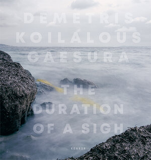 Buchcover Demetris Koilalous | Demetris Koilalous | EAN 9783868288599 | ISBN 3-86828-859-7 | ISBN 978-3-86828-859-9