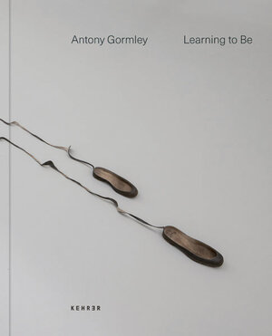 Buchcover Antony Gormley  | EAN 9783868289923 | ISBN 3-86828-992-5 | ISBN 978-3-86828-992-3