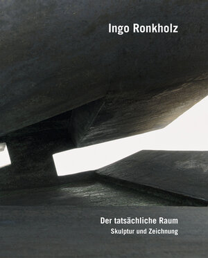 Buchcover Ingo Ronkholz – Der tatsächliche Raum | EAN 9783868331264 | ISBN 3-86833-126-3 | ISBN 978-3-86833-126-4