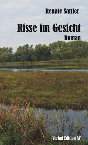 Buchcover Risse im Gesicht | Renate Sattler | EAN 9783868411577 | ISBN 3-86841-157-7 | ISBN 978-3-86841-157-7