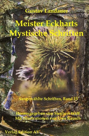 Buchcover Meister Eckharts -Mystische Schriften | Gustav Landauer | EAN 9783868412093 | ISBN 3-86841-209-3 | ISBN 978-3-86841-209-3