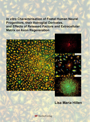 Buchcover In vitro Characterisation of Foetal Human Neural Progenitors, their Astroglial Derivates,and Effects of Released Factors and Extracellular Matrix on Axon Regeneration | Lisa Maria Hillen | EAN 9783868443479 | ISBN 3-86844-347-9 | ISBN 978-3-86844-347-9