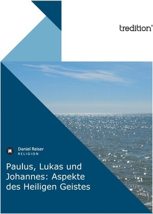 Buchcover Paulus, Lukas und Johannes: Aspekte des Heiligen Geistes | Daniel Reiser | EAN 9783868509205 | ISBN 3-86850-920-8 | ISBN 978-3-86850-920-5