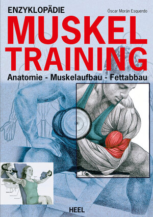 Buchcover Enzyklopädie Muskeltraining | Oscar Moran Esqerdo | EAN 9783868529616 | ISBN 3-86852-961-6 | ISBN 978-3-86852-961-6