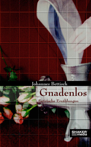 Buchcover Gnadenlos | Johannes Bettisch | EAN 9783868581003 | ISBN 3-86858-100-6 | ISBN 978-3-86858-100-3