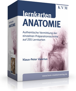 Buchcover Lernkarten Anatomie | Klaus-Peter Valerius | EAN 9783868675689 | ISBN 3-86867-568-X | ISBN 978-3-86867-568-9