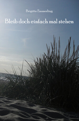 Buchcover Bleib doch einfach mal stehen | Brigitte Emmerling | EAN 9783868706307 | ISBN 3-86870-630-5 | ISBN 978-3-86870-630-7