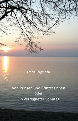 Buchcover Von Prinzen und Prinzessinnen oder Ein verregneter Sonntag | Frank Bergmann | EAN 9783868706314 | ISBN 3-86870-631-3 | ISBN 978-3-86870-631-4