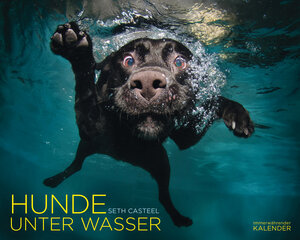 Buchcover Hunde unter Wasser | Seth Casteel | EAN 9783868833126 | ISBN 3-86883-312-9 | ISBN 978-3-86883-312-6