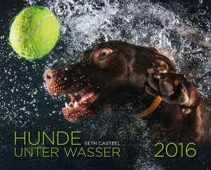 Buchcover Hunde unter Wasser 2016 | Seth Casteel | EAN 9783868836295 | ISBN 3-86883-629-2 | ISBN 978-3-86883-629-5